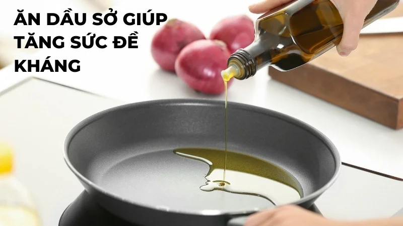 Tiết lộ 10 ứng dụng rộng rãi của dầu sở trong đời sống 17 Ăn dầu sở tăng cường sức đề kháng