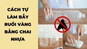 Cách tự làm bẫy ruồi vàng bằng chai nhựa
