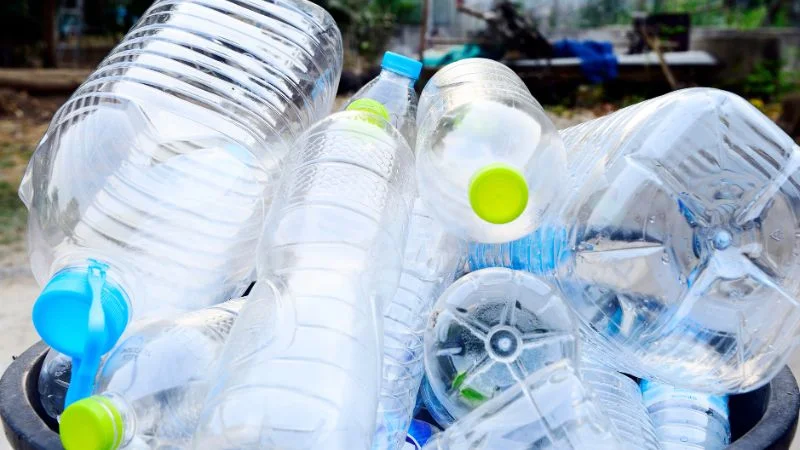 4 cách tự làm bẫy ruồi vàng bằng chai nhựa cực hiệu quả 10 Chuẩn bị nguyên liệu