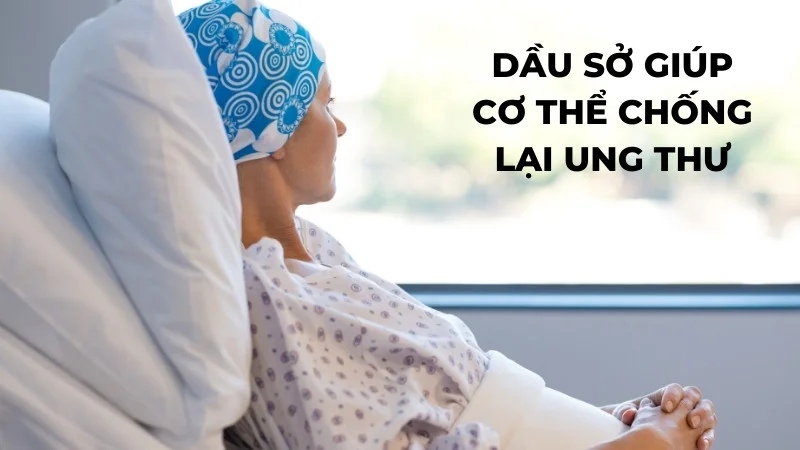 Tiết lộ 10 ứng dụng rộng rãi của dầu sở trong đời sống 18 Dầu sở giúp cơ thể chống lại ung thư