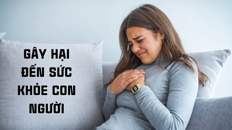 Thực trạng khí thải công nghiệp và giải pháp khắc phục 14 Gây hại đến sức con người