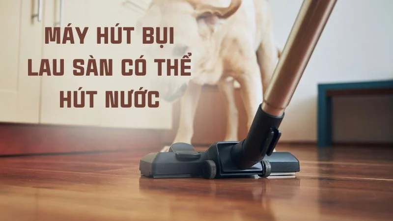 Máy hút bụi có hút được nước không? Nên mua loại nào? 8 Loại máy hút bụi nào có thể hút được nước