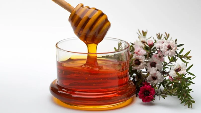 Cách bẫy ruồi vàng bằng mật ong hiệu quả, không lo tốn kém 11 Lưu ý khi bẫy ruồi vàng bằng mật ong