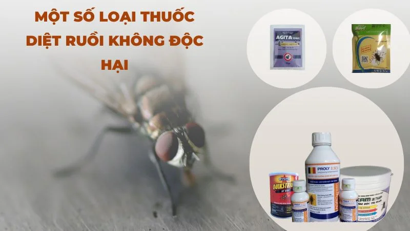 Các loại thuốc diệt ruồi không độc hại có thực sự an toàn? 7 Một số thuốc diệt ruồi không độc hại