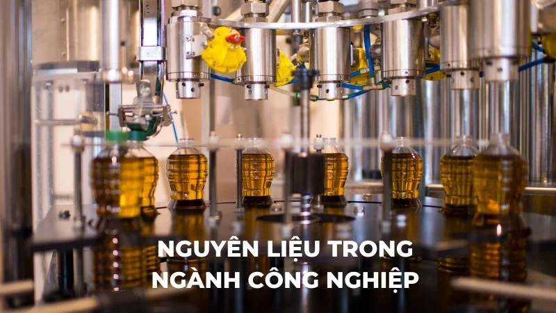 Tiết lộ 10 ứng dụng rộng rãi của dầu sở trong đời sống 19 Nguyên liệu trong ngành công nghiệp