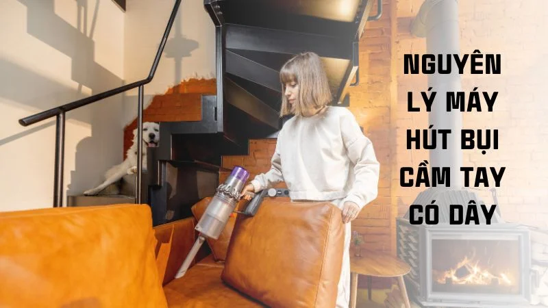 Cấu tạo máy hút bụi và nguyên lý hoạt động của máy hút bụi 24 Nguyên lý máy hút bụi cầm tay có dây