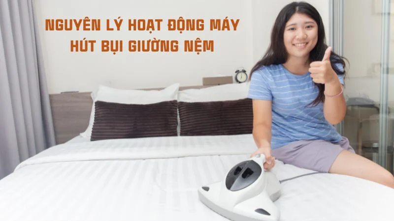 Cấu tạo máy hút bụi và nguyên lý hoạt động của máy hút bụi 27 Nguyên lý hoạt động máy hút bụi giường nệm
