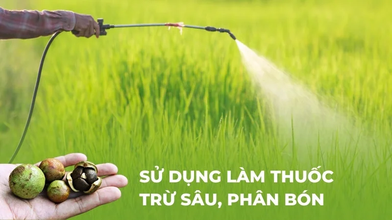 Tiết lộ 10 ứng dụng rộng rãi của dầu sở trong đời sống 20 Dầu sở dùng làm thuốc trừ sâu, phân bón