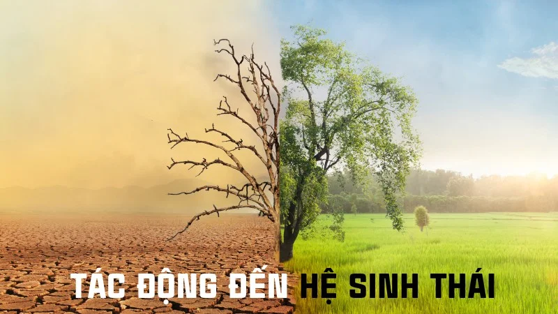 Thực trạng khí thải công nghiệp và giải pháp khắc phục 15 Tác động đến hệ sinh thái