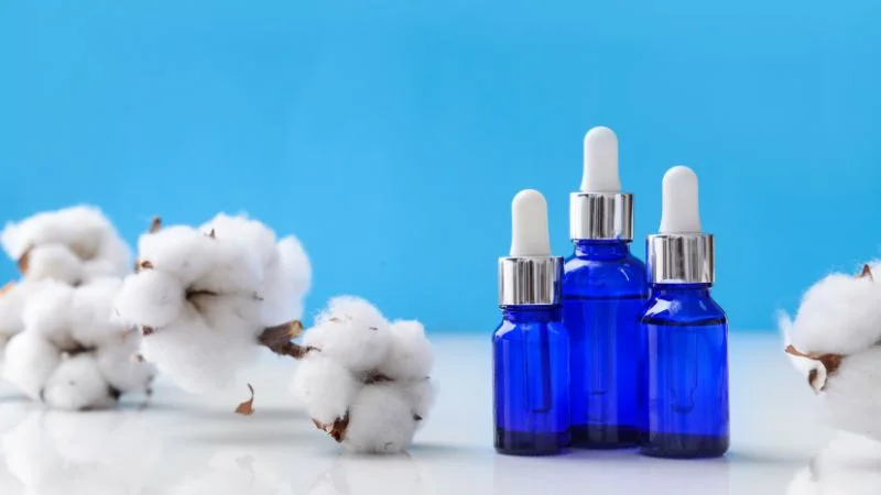 4 cách đuổi ruồi bằng dầu gió vô cùng đơn giản mà hiệu quả 12 Tẩm dầu gió vào bông gòn