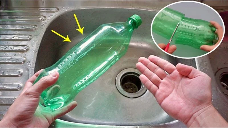 4 cách tự làm bẫy ruồi vàng bằng chai nhựa cực hiệu quả 9 Vì sao nên bẫy ruồi bằng chai nhựa