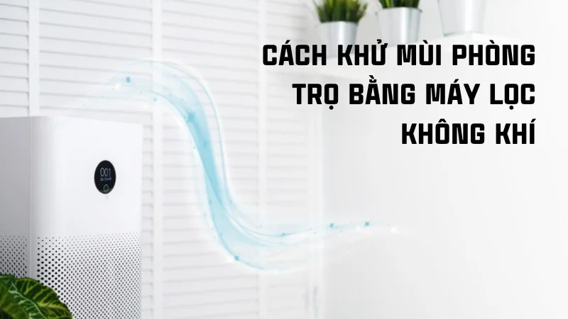 14 cách khử mùi cống trong phòng trọ đơn giản, hiệu quả 19 Cách khử mùi phòng trọ bằng máy lọc không khí