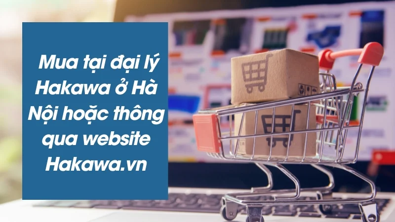 Mua thang nhôm rút ở Hà Nội uy tín, chất lượng ở đâu? 15 Đại lý thang nhôm Hakawa tại Hà Nội