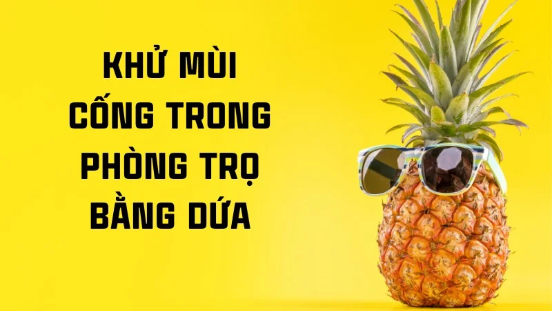 14 cách khử mùi cống trong phòng trọ đơn giản, hiệu quả 29 Khử mùi cống trong phòng trọ bằng dứa