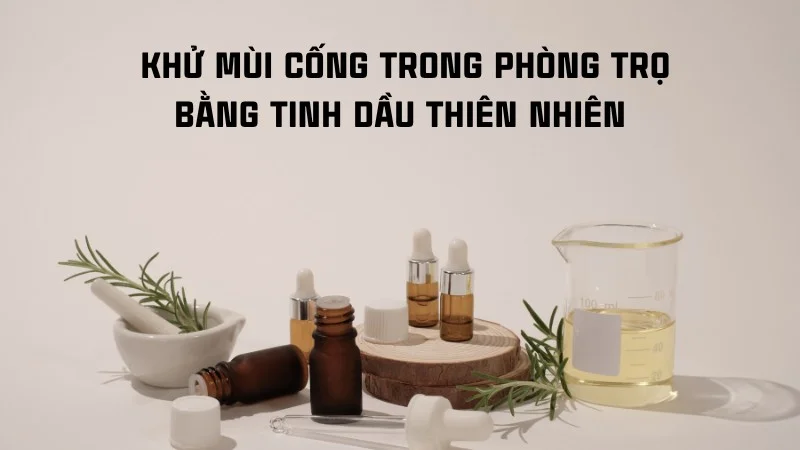 14 cách khử mùi cống trong phòng trọ đơn giản, hiệu quả 30 Khử mùi cống trong phòng trọ bằng tinh dầu thiên nhiên