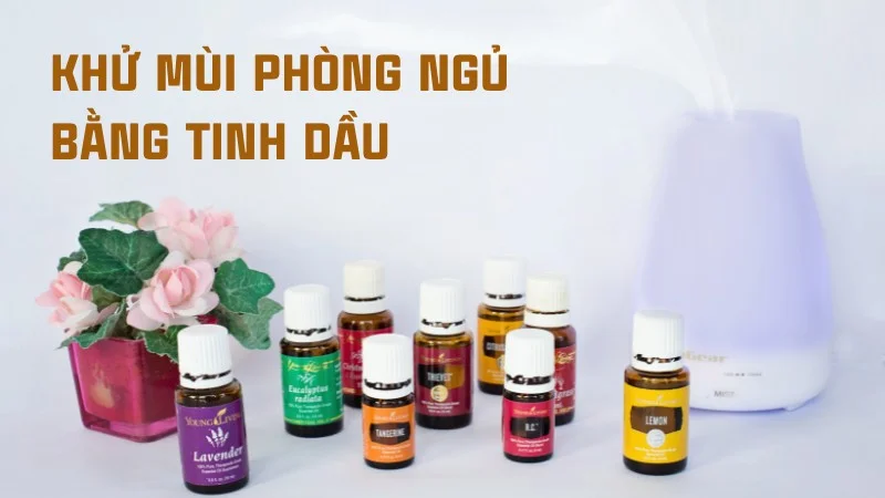 Bỏ túi ngay 10 cách giúp khử mùi phòng ngủ hiệu quả 22 Khử mùi phòng ngủ bằng tinh dầu