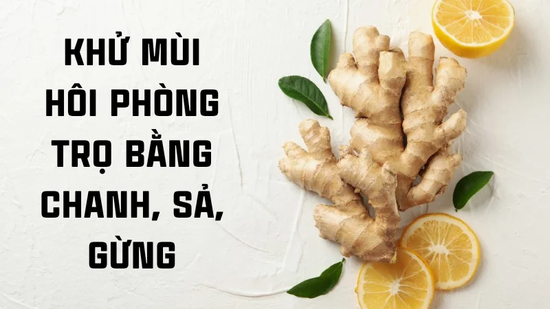 14 cách khử mùi cống trong phòng trọ đơn giản, hiệu quả 28 Khử mùi hôi phòng trọ bằng chanh, sả, gừng