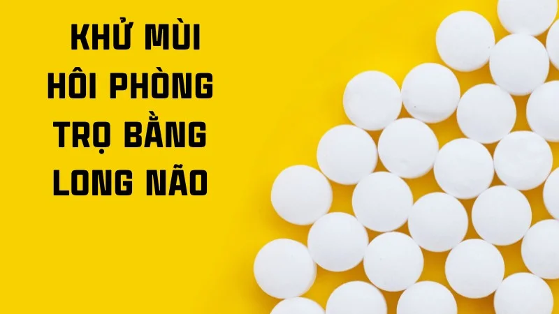 14 cách khử mùi cống trong phòng trọ đơn giản, hiệu quả 25 Khử mùi hôi phòng trọ bằng long não