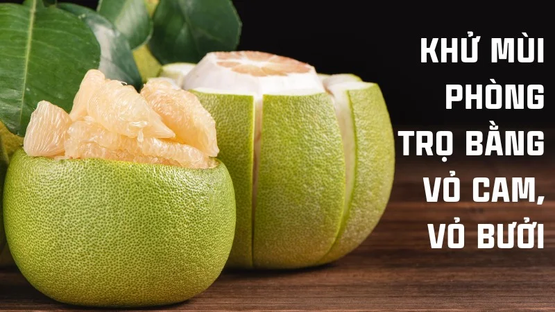 14 cách khử mùi cống trong phòng trọ đơn giản, hiệu quả 21 Cách khử mùi phòng trọ bằng vỏ cam, vỏ bưởi