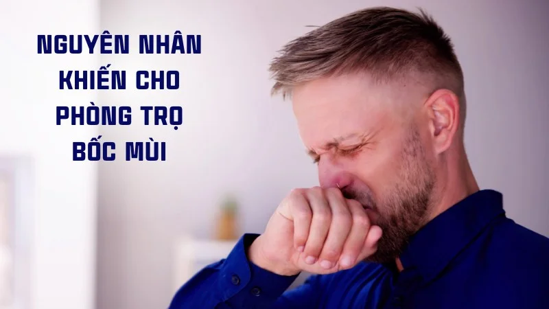 14 cách khử mùi cống trong phòng trọ đơn giản, hiệu quả 18 Nguyên nhân khiến cho phòng trọ bốc mùi