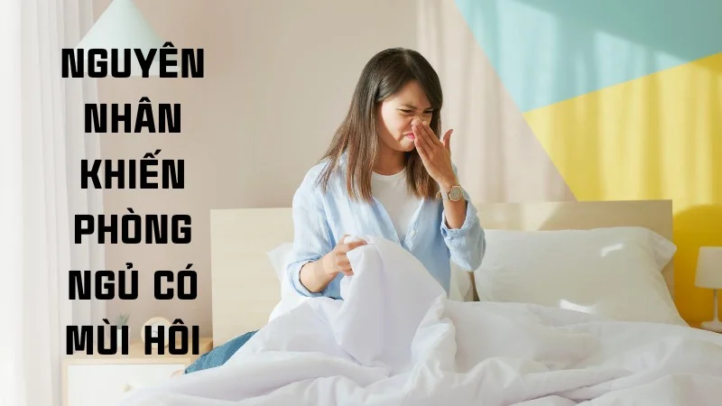 Bỏ túi ngay 10 cách giúp khử mùi phòng ngủ hiệu quả 16 Nguyên nhân khiến phòng ngủ có mùi hôi