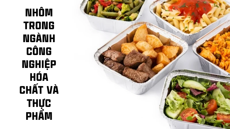 Ứng dụng của nhôm trong đời sống, công nghiệp, y tế 31 Nhôm trong ngành công nghiệp hóa chất và thực phẩm