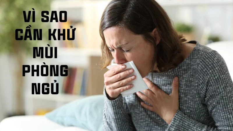 Bỏ túi ngay 10 cách giúp khử mùi phòng ngủ hiệu quả 15 Vì sao cần khử mùi phòng ngủ