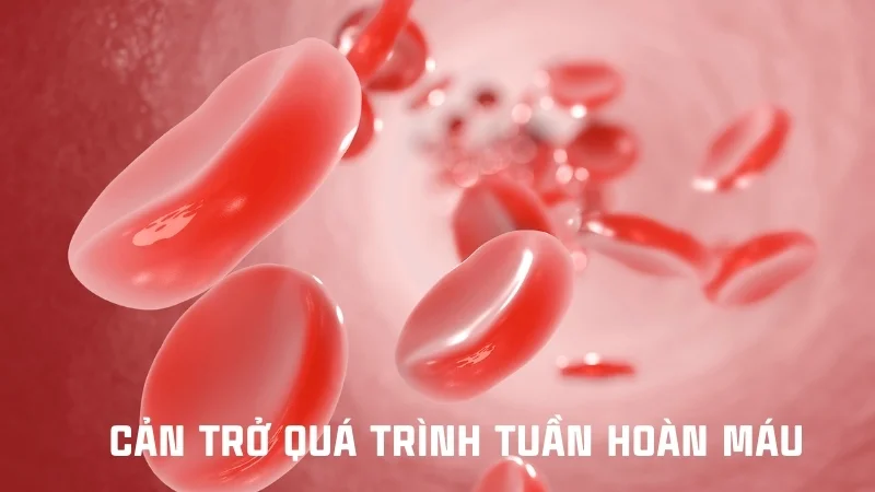 Ngủ ngồi có sao không? Hướng dẫn ngủ ngồi đúng cách 19 Cản trở quá trình tuần hoàn máu