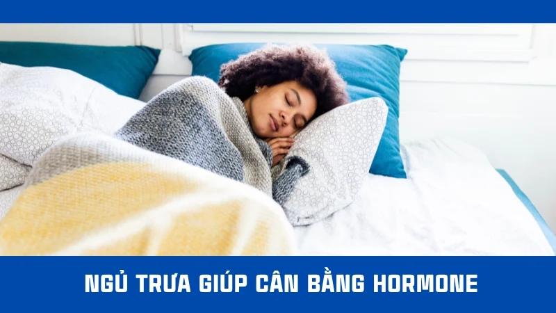 Ngủ trưa có mập không? Cách ngủ trưa giúp giảm cân 13 Ngủ trưa giúp cân bằng hormone