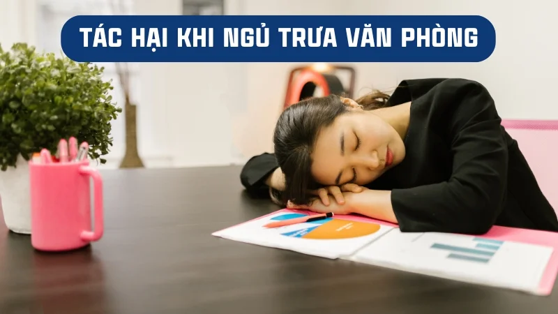 4 cách ngủ trưa văn phòng chuẩn, mang lại nhiều lợi ích 15 Tác hại khi ngủ trưa văn phòng