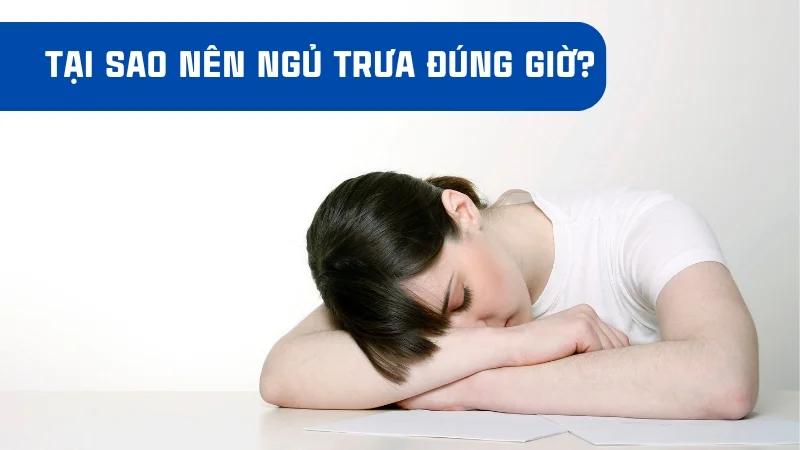 Nên ngủ trưa lúc mấy giờ để cơ thể không bị mệt 5 Nên ngủ trưa lúc mấy giờ để không cảm thấy mệt mỏi