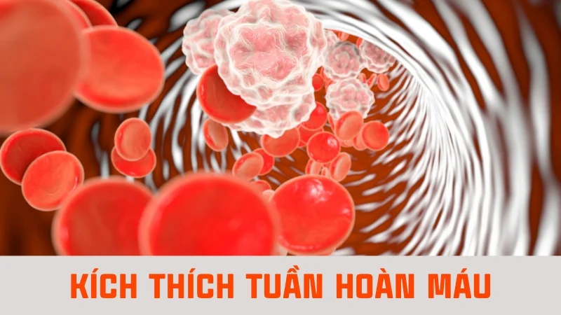 Mới ngủ trưa dậy có nên tắm không? Lợi ích và tác hại 12 Kích thích tuần hoàn máu
