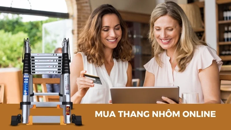 Mua thang nhôm Biên Hòa chính hãng, giá rẻ ở đâu? 10 Mua thang nhôm biên hòa bằng online