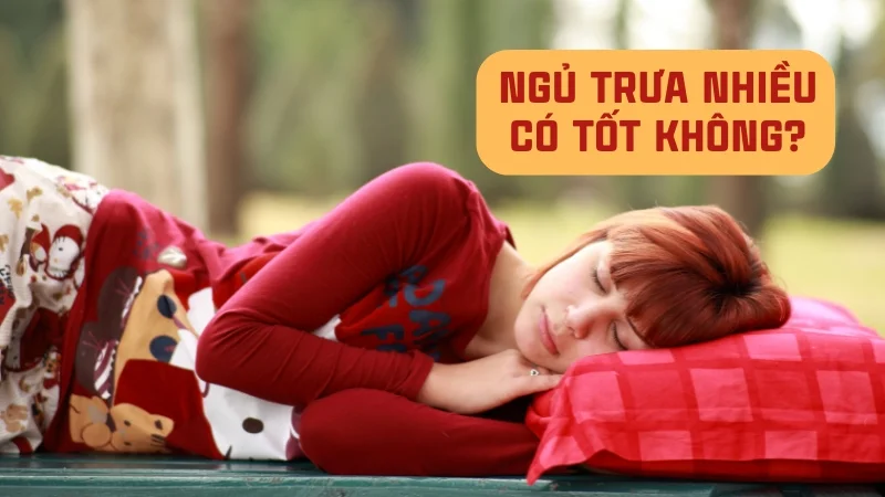 Ngủ trưa nhiều có tốt không? Tác hại của ngủ trưa quá nhiều 7 Ngủ trưa nhiều có tốt không? Những lợi ích và tác hại của việc ngủ trưa nhiều
