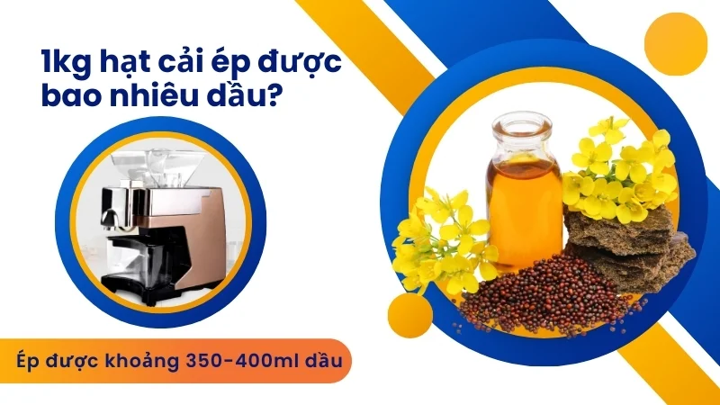 1kg lạc ép được bao nhiêu dầu? 1kg vừng, đậu nành, óc chó,... 11 1kg hạt cải ép được bao nhiêu dầu?