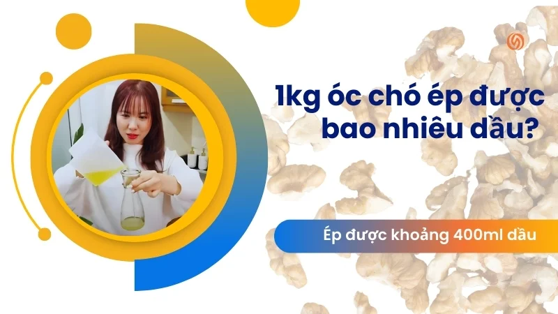 1kg lạc ép được bao nhiêu dầu? 1kg vừng, đậu nành, óc chó,... 10 1kg óc chó ép được bao nhiêu dầu?