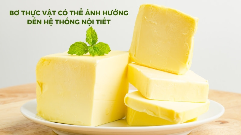 Bơ thực vật có tốt không? 4 tác hại của bơ thực vật 13 Ảnh hưởng đến hệ thống nội tiết