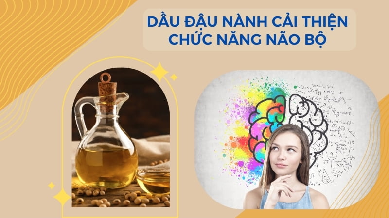 Lợi ích và tác hại khi sử dụng dầu đậu nành 9 Dầu đậu nành cải thiện chức năng não bộ
