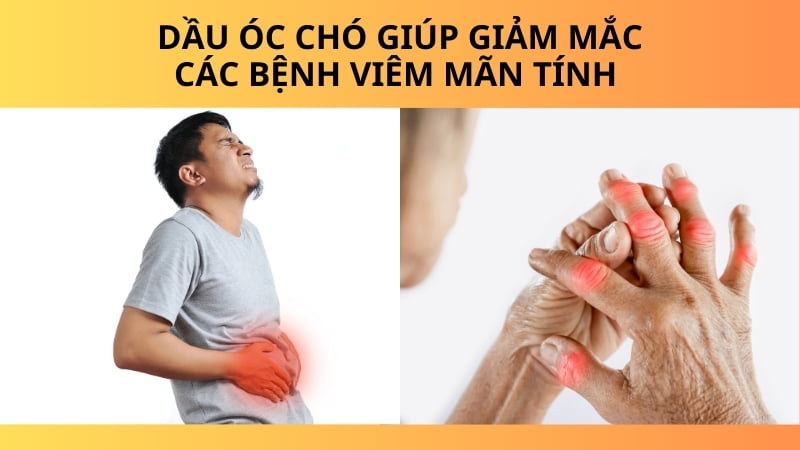 Dầu óc chó có tác dụng gì? 16 tác dụng của dầu óc chó 15 Giảm nguy cơ mắc các bệnh viêm mãn tính