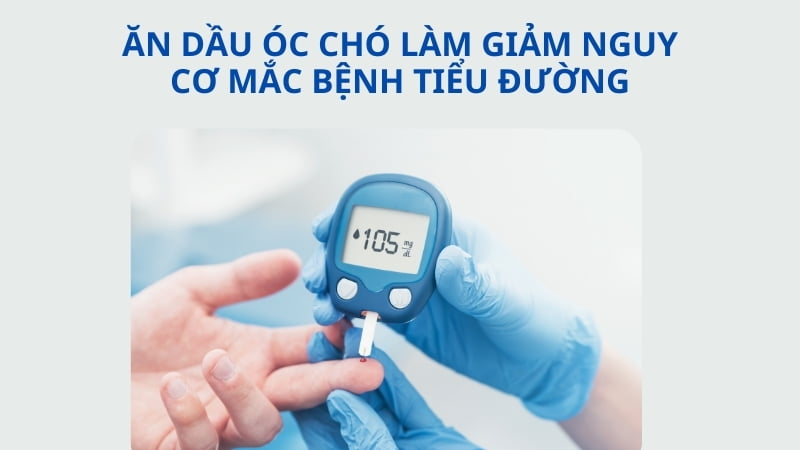 Dầu óc chó có tác dụng gì? 16 tác dụng của dầu óc chó 22 Giảm nguy cơ mắc bệnh tiểu đường
