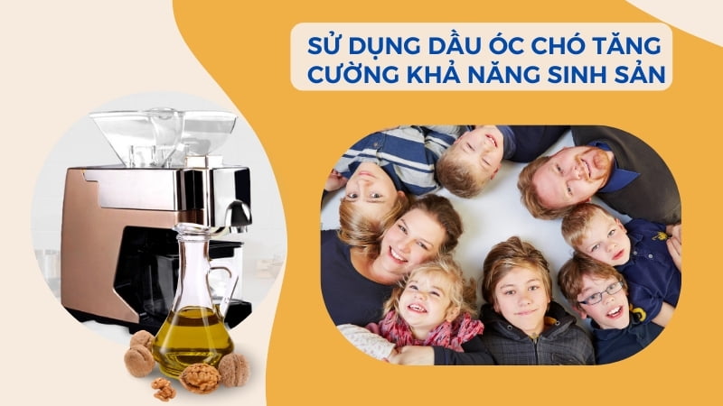 Dầu óc chó có tác dụng gì? 16 tác dụng của dầu óc chó 26 Dầu óc chó giúp tăng cường khả năng sinh sản