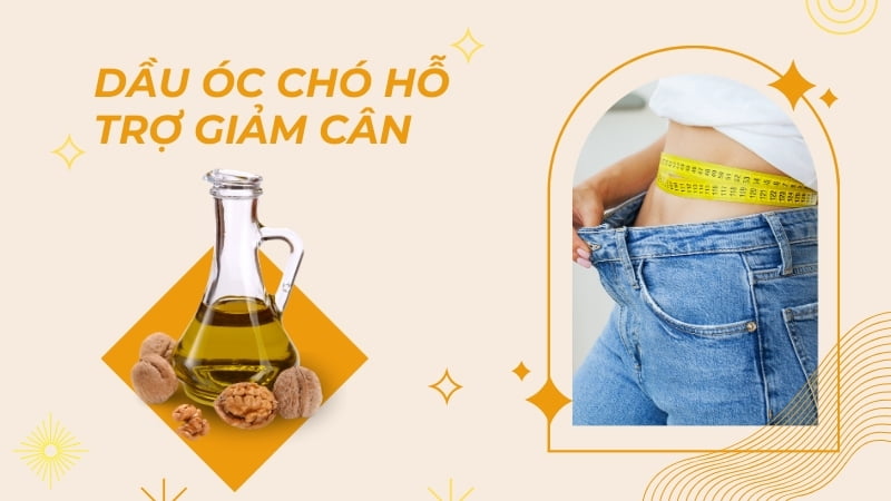 Dầu óc chó có tác dụng gì? 16 tác dụng của dầu óc chó 17 Hỗ trợ giảm cân