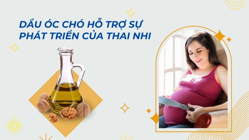 Dầu óc chó có tác dụng gì? 16 tác dụng của dầu óc chó 24 Hỗ trợ sự phát triển của thai nhi
