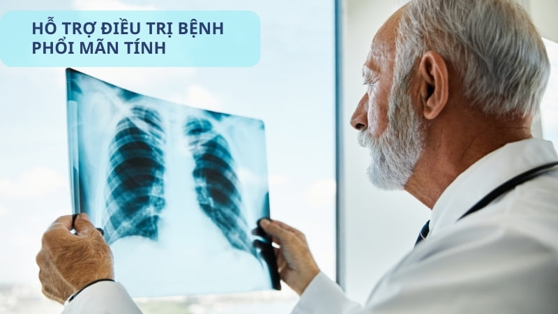Tại sao nên dùng máy thở oxy cho người già? 12 Hỗ trợ điều trị bệnh phổi mãn tính