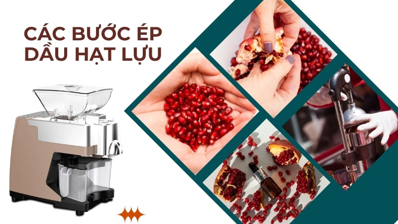 8 tác dụng của dầu hạt lựu và cách sử dụng đúng 24 Các bước ép dầu hạt lựu