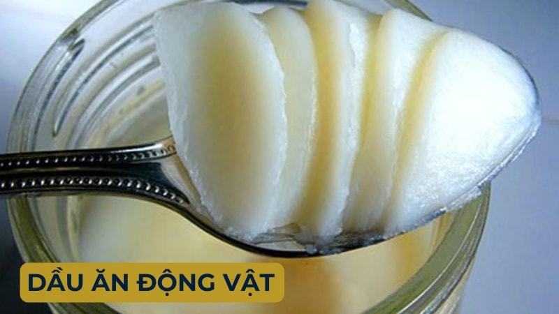 Các loại dầu ăn trên thị trường, nên dùng loại nào 8 Dầu ăn động vật