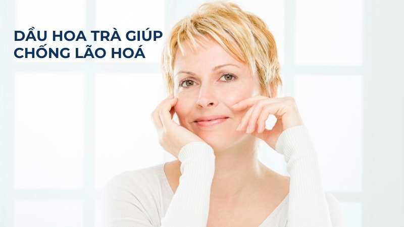 Công dụng và tác dụng phụ của dầu hoa trà (Camellia Oil) 13 Dầu hoa trà camellia oil giúp chống lão hoá