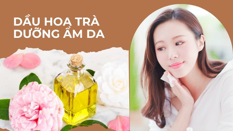 Công dụng và tác dụng phụ của dầu hoa trà (Camellia Oil) 11 Dầu hoa trà dưỡng da
