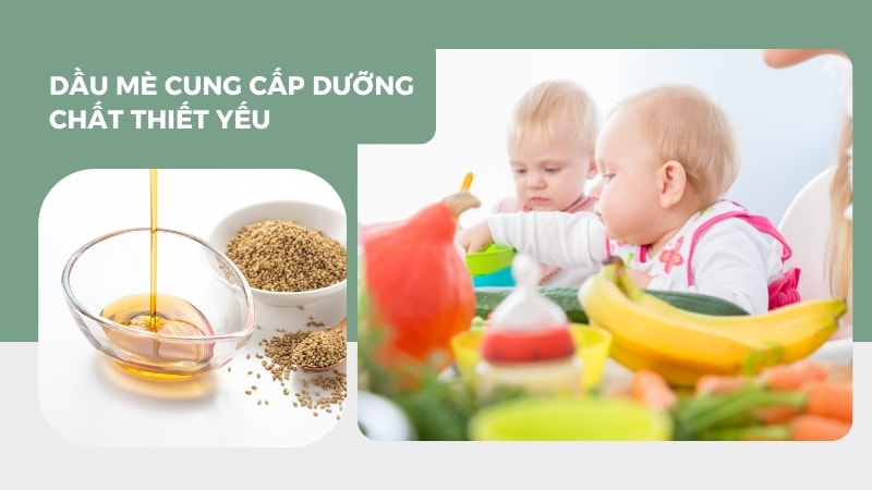 Tổng hợp những lợi ích khi dùng dầu mè cho bé ăn dặm 10 Cung cấp dưỡng chất thiết yếu