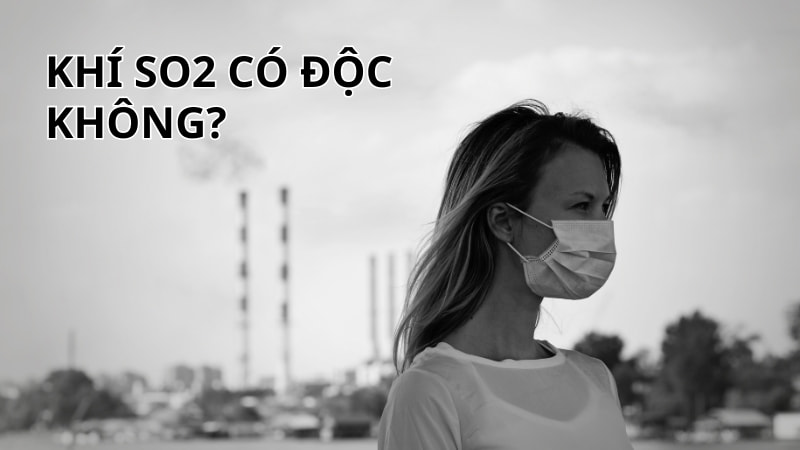 Khí SO2 có độc không? 11 tác hại của SO2 9 Khí SO2 có độc không?